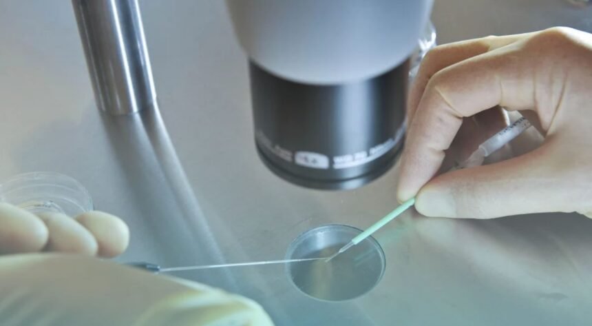 Alabama Embryo Ruling Can Affect Cancer Patients